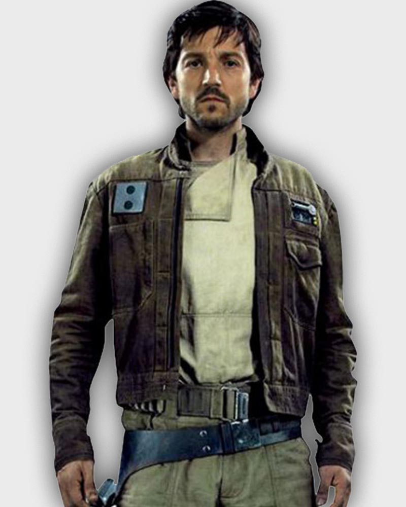Brown Stand-Collar Field Jacket