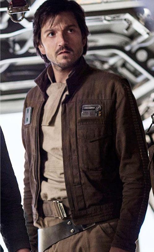 Brown Stand-Collar Field Jacket