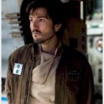 Brown Stand-Collar Field Jacket