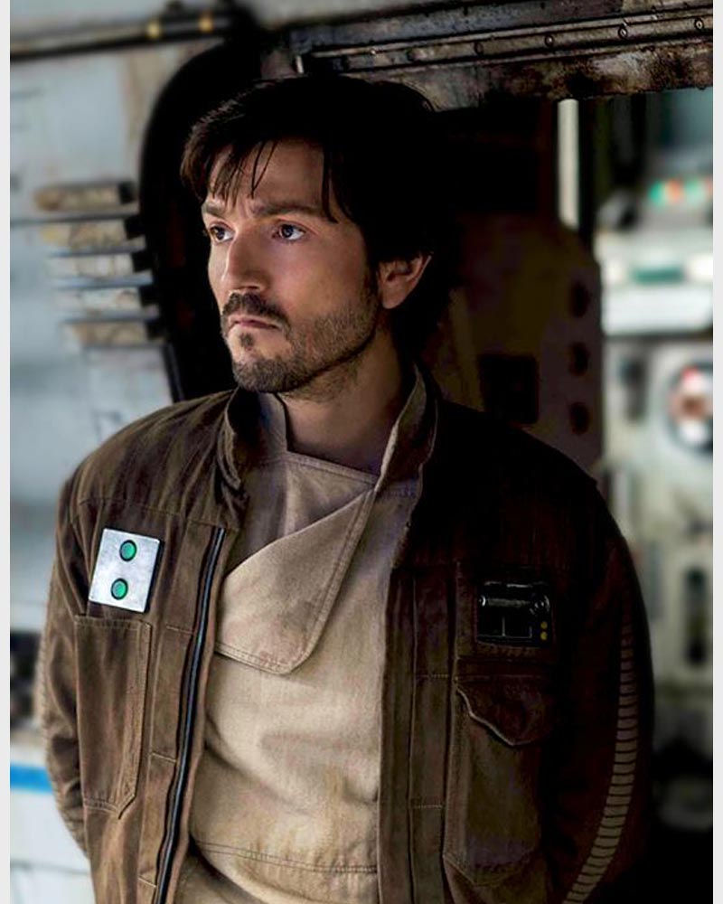 Brown Stand-Collar Field Jacket