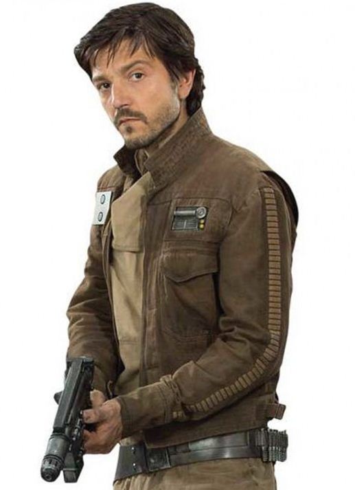 Brown Stand-Collar Field Jacket